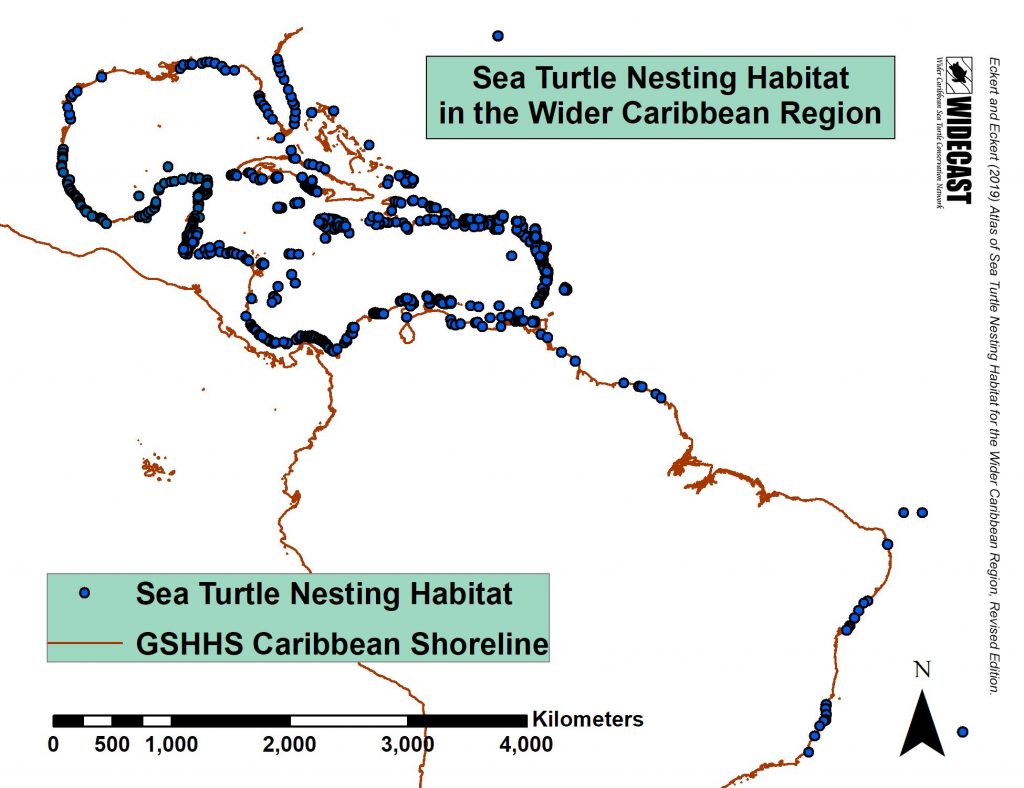 Sea Turtle Nesting Beach Atlas