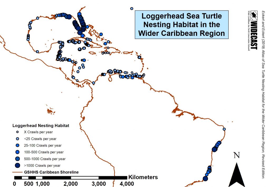 Sea Turtle Nesting Beach Atlas